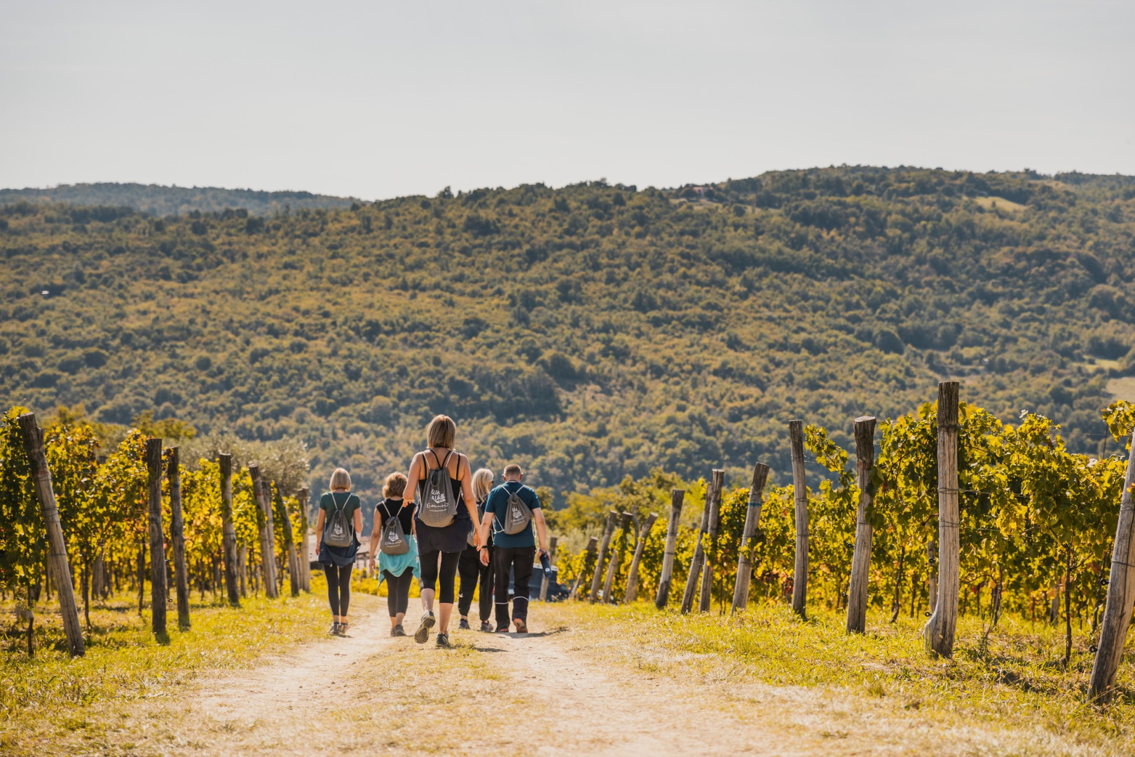 Istra Wine and Walk