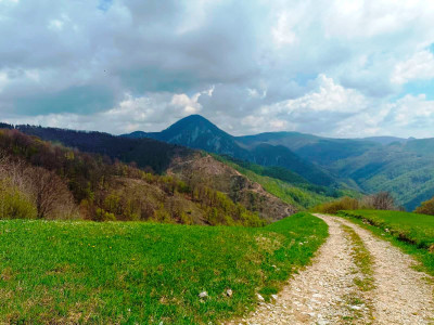 Putevi Sokola