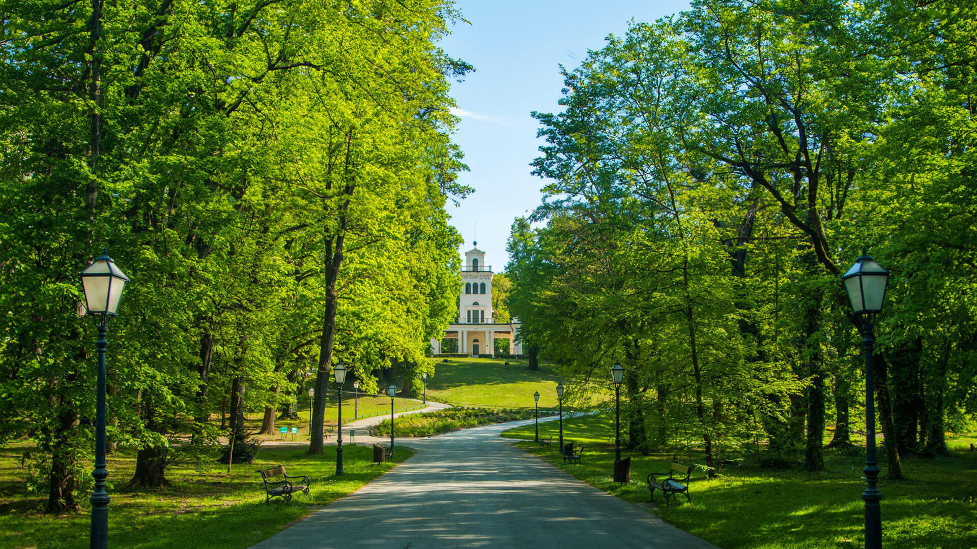 Zagreb trči - Plavi leptir [COPY]