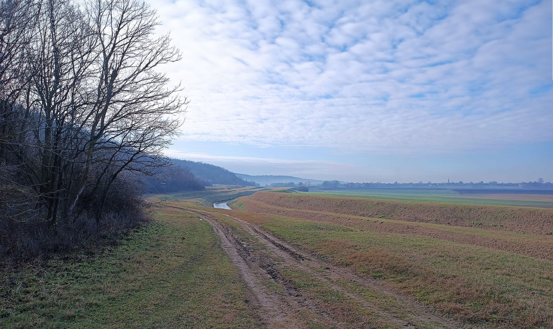 Baranja trail