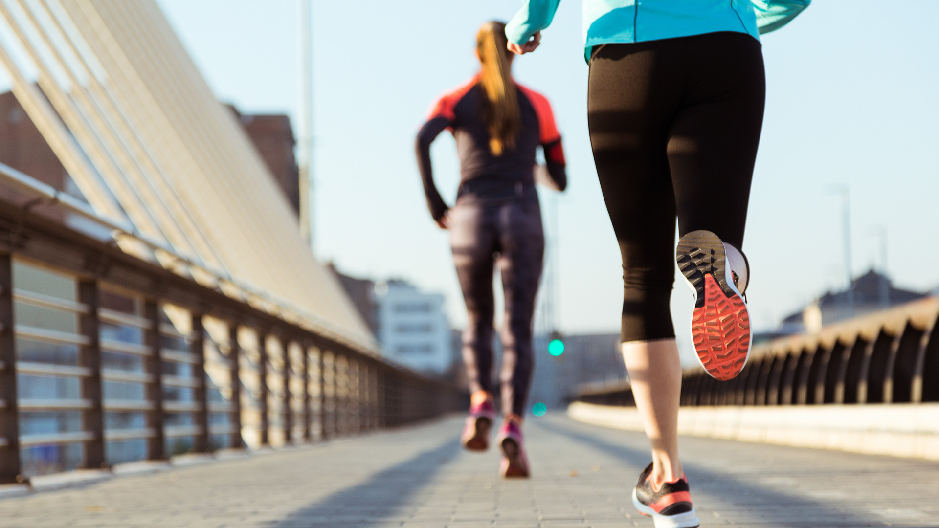 Z Fit run