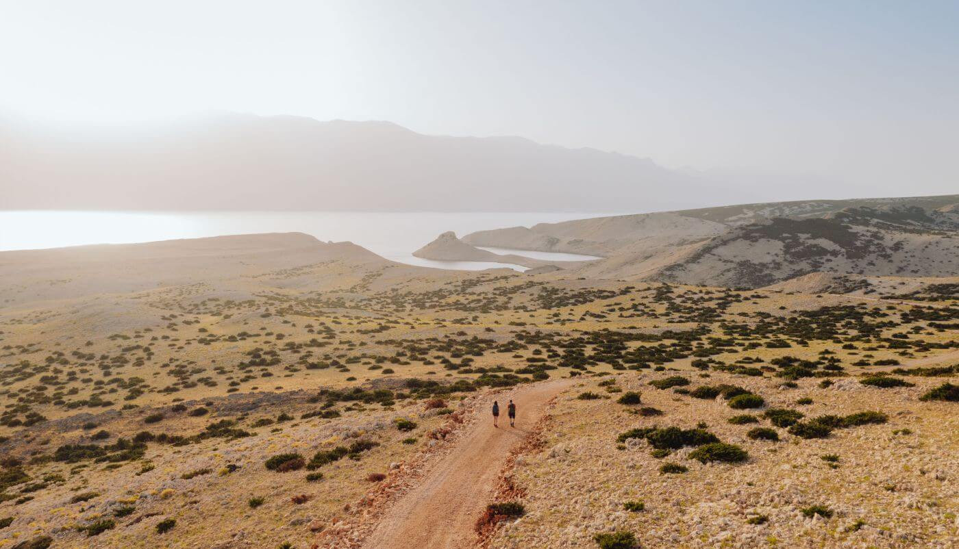 Olea Trail