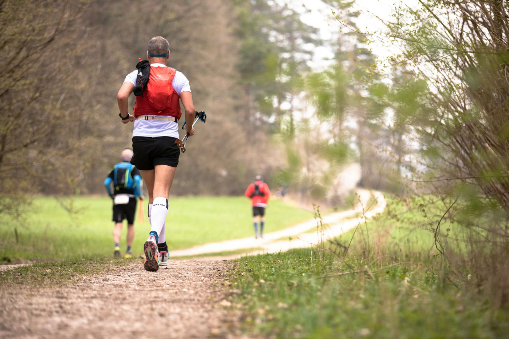 Molve trail