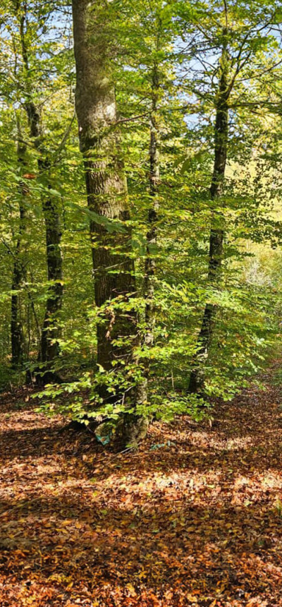 2. Turopoljska liga trail 5. kolo