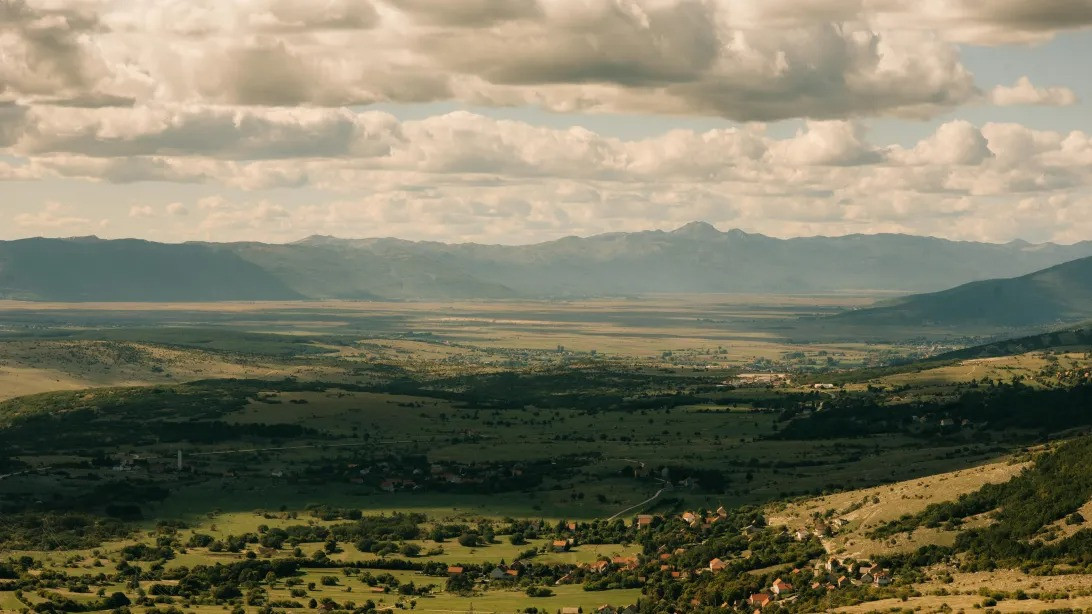 Livno wild