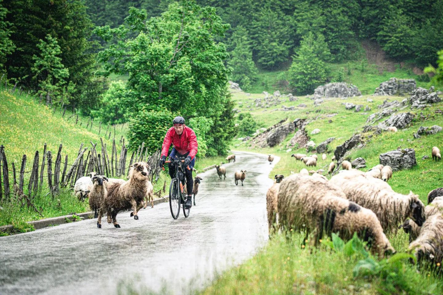 B-HARD Ultra Race & Brevet