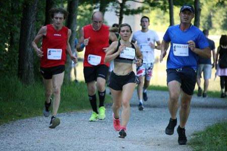 Fužinarska lisica