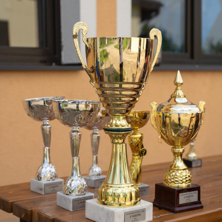 Svinjarevačkih 1200 (Svinjarevačkih 1200)