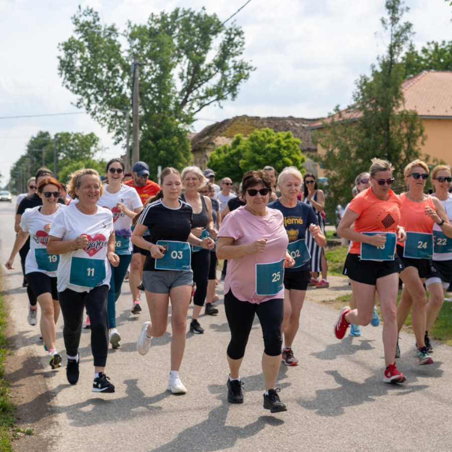 Svinjarevačkih 1200 (Svinjarevačkih 1200)