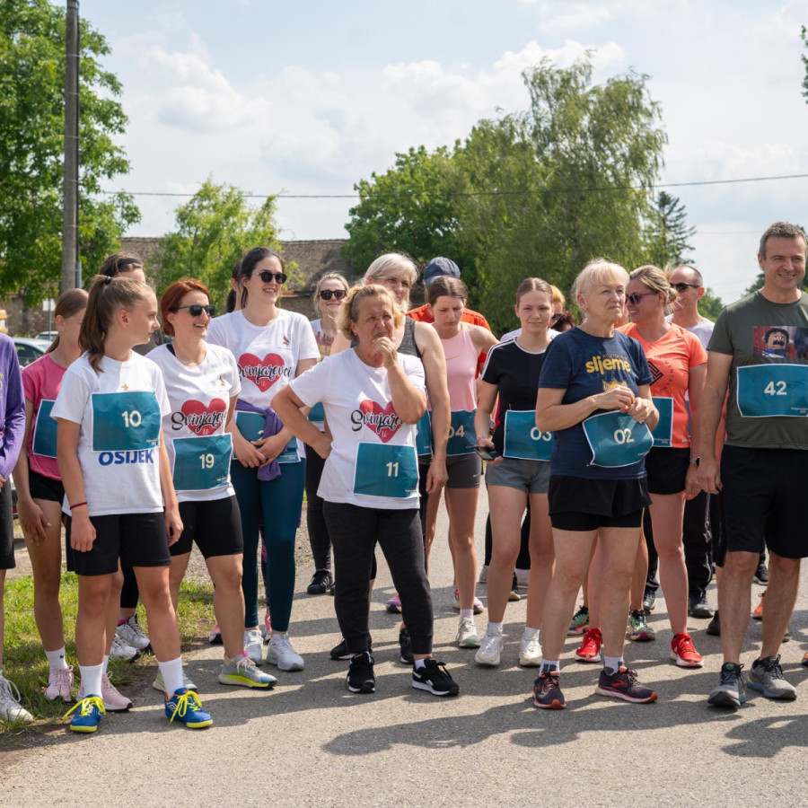 Svinjarevačkih 1200 (Svinjarevačkih 1200)