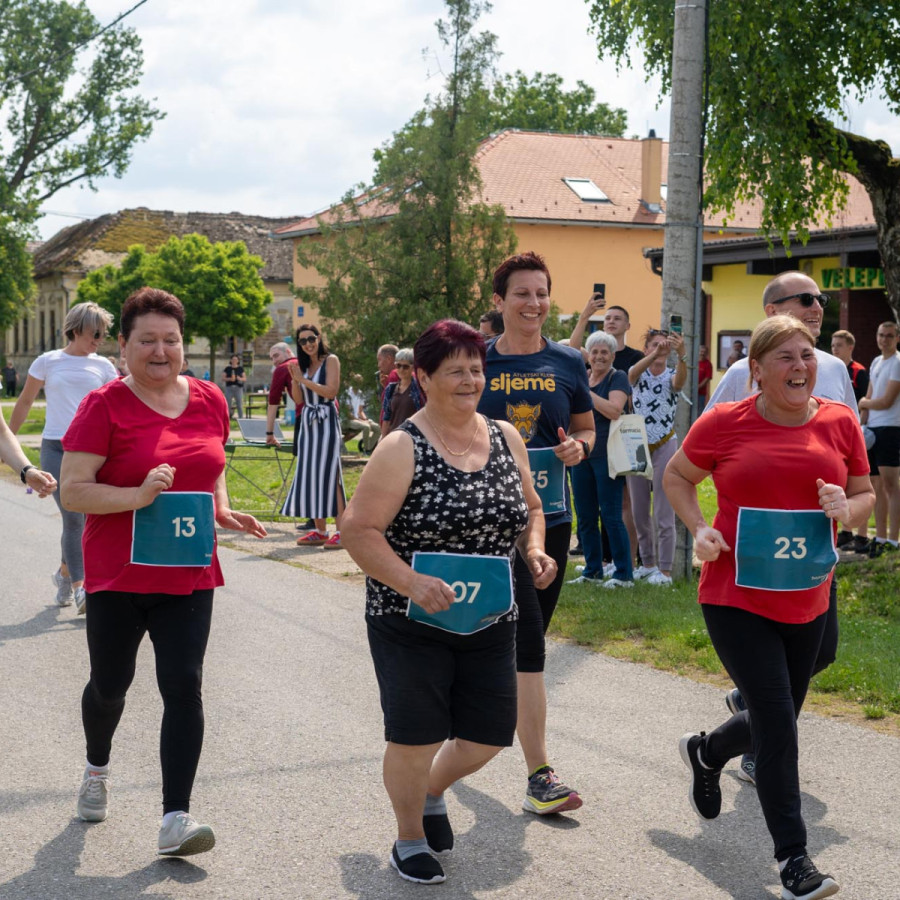Svinjarevačkih 1200 (Svinjarevačkih 1200)
