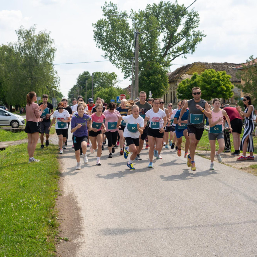 Svinjarevačkih 1200 (Svinjarevačkih 1200)
