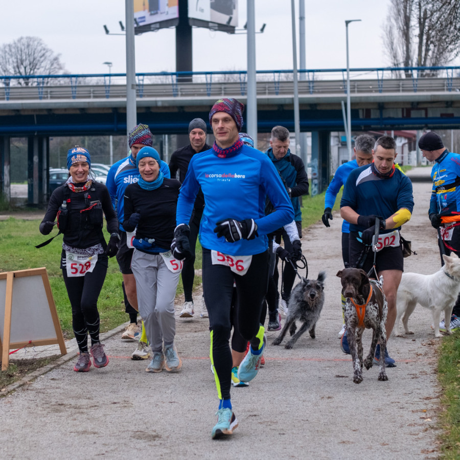 RocknRolla polumaraton (RocknRolla)