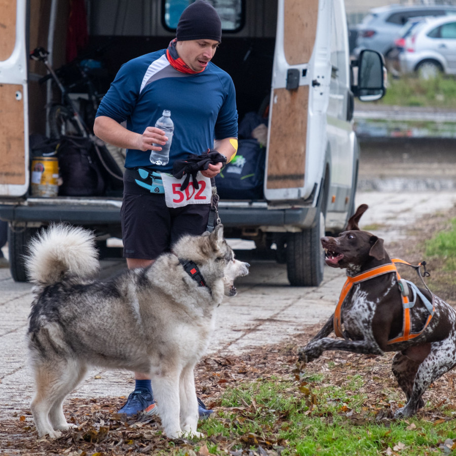 RocknRolla polumaraton (RocknRolla)