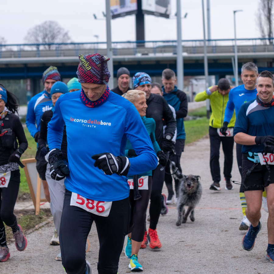 RocknRolla polumaraton (RocknRolla)