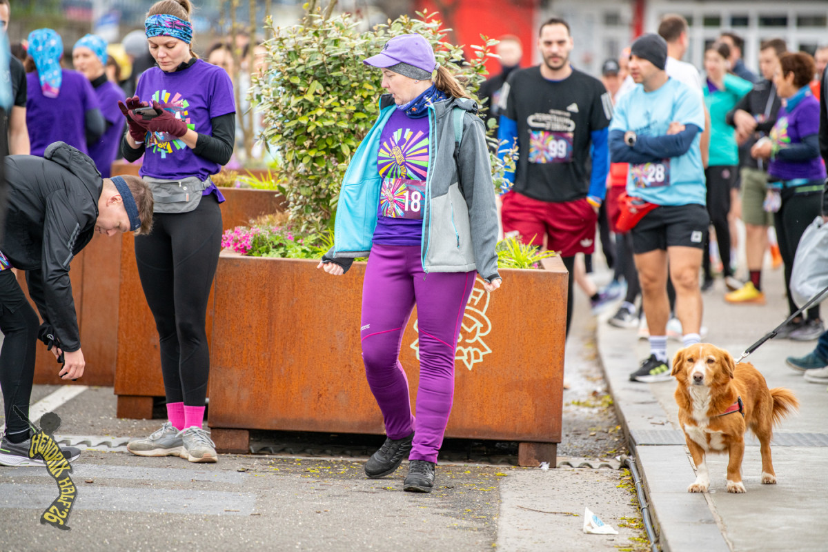 Petica (17. Hendrix Half)